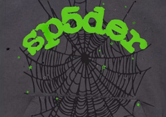 sp5der hoodie grey/green